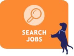 Search Job Listings